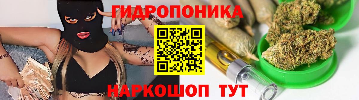 Сланцы  Бошки марихуана конопля  Бошки Шишки планчик  Вход с VPN 
